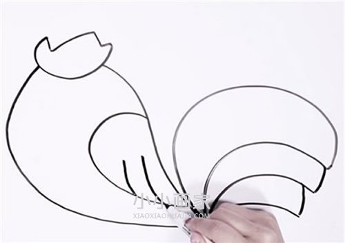 打鸣大公鸡简笔画画法图片步骤步骤4