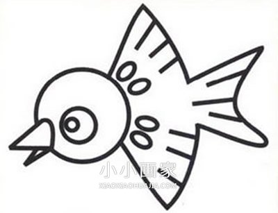 飞行的小麻雀简笔画画法图片步骤步骤5