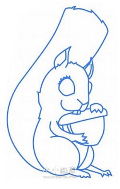 彩色松鼠简笔画画法图片步骤步骤5