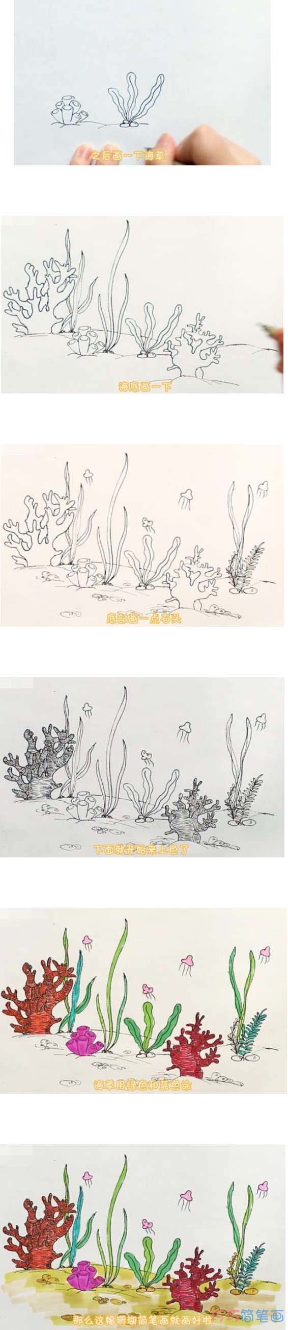 教你一步一步绘画珊瑚简笔画手绘简单漂亮步骤1
