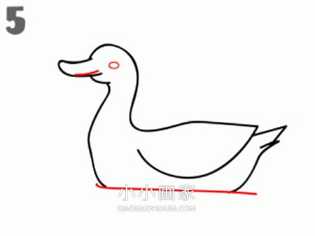 水中游的鸭子简笔画画法图片步骤步骤5