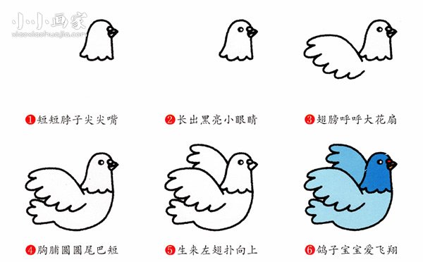 绘本故事挥动翅膀的鸽子简笔画画法图片步骤