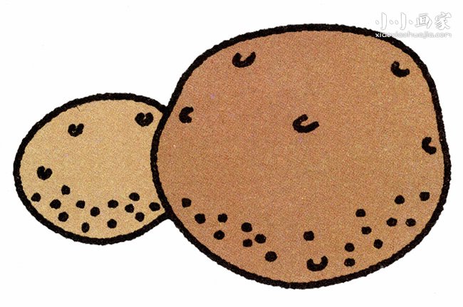 简单土豆简笔画画法图片步骤步骤1