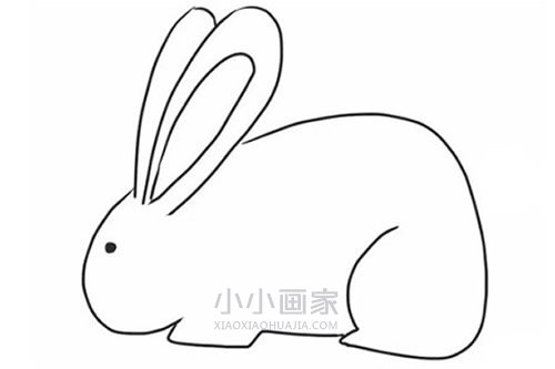 黑白兔子简笔画画法图片步骤步骤6