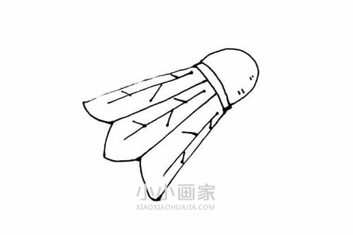 彩色羽毛球简笔画画法图片步骤步骤7