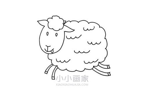 奔跑的小羊简笔画画法图片步骤步骤6