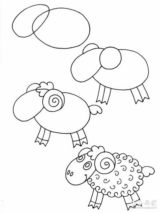 绘本故事简单又可爱小绵羊简笔画画法图片步骤