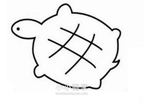 爬行乌龟简笔画画法图片步骤步骤5