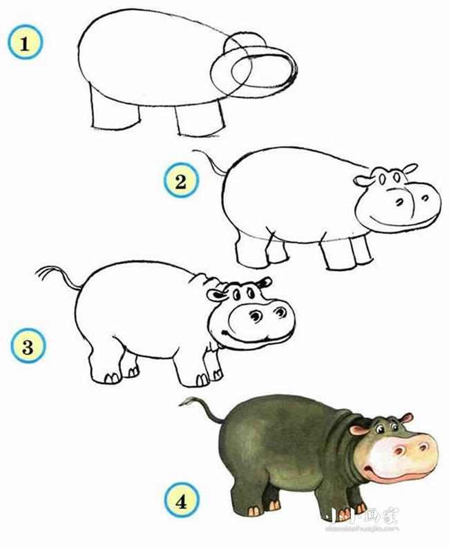 绘本故事可爱的彩色河马简笔画画法图片步骤
