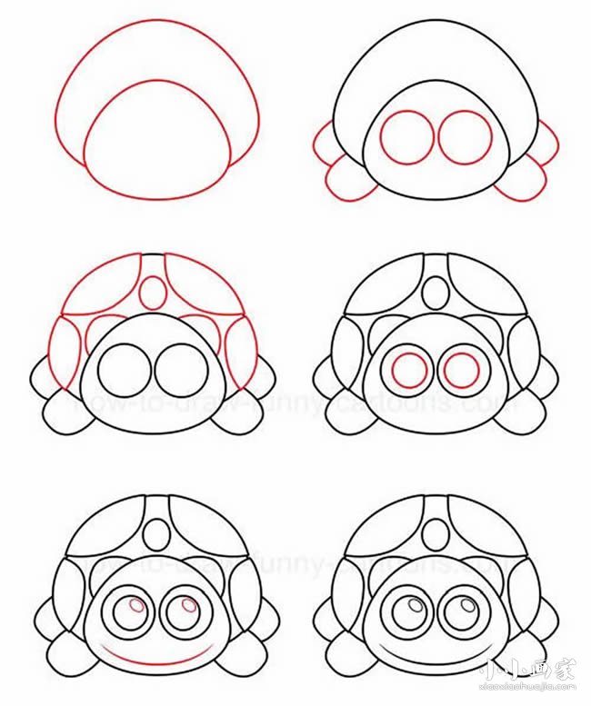 绘本故事正面的乌龟简笔画画法图片步骤