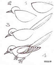 警觉的小鸟简笔画画法图片步骤