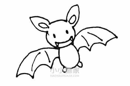 万圣节小蝙蝠简笔画画法图片步骤步骤8