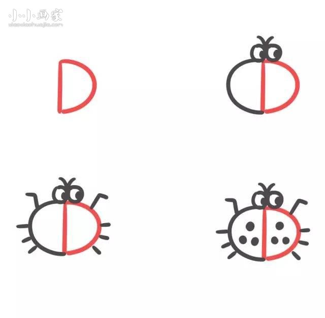 绘本故事字母D简笔画甲虫的画法图片步骤