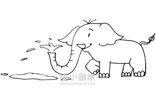 玩水的大象简笔画画法图片步骤步骤8