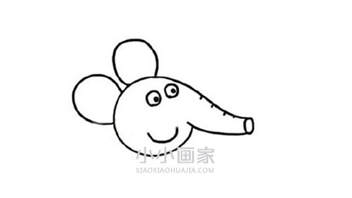 小象艾米丽简笔画画法图片步骤步骤3