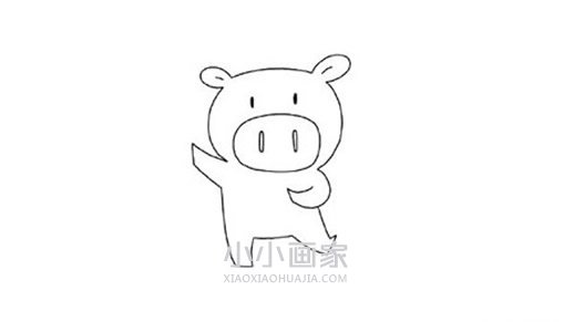 猪年卡通小猪简笔画画法图片步骤步骤5