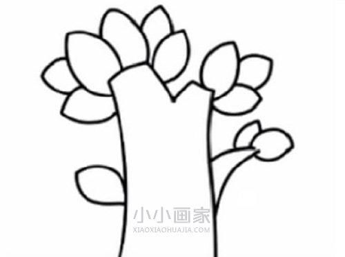 简单苹果树简笔画画法图片步骤步骤3