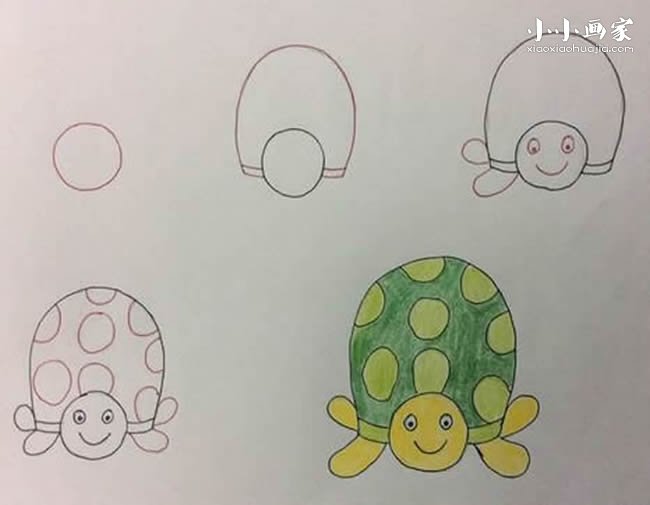 绘本故事正面的彩色乌龟简笔画画法图片步骤