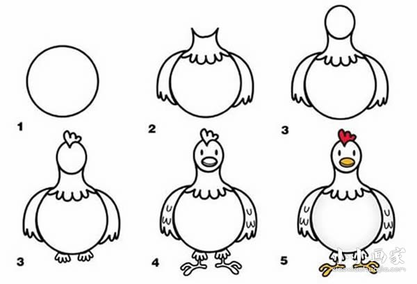 绘本故事正面的母鸡简笔画画法图片步骤