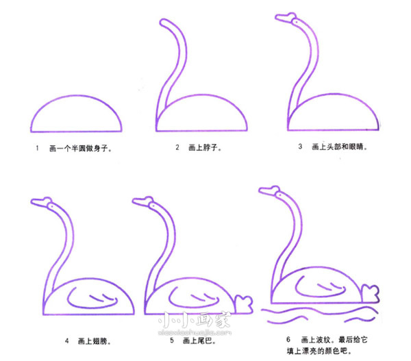 游泳的天鹅简笔画画法图片步骤步骤2