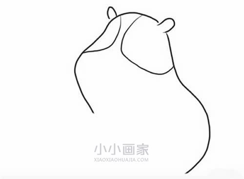 可爱豚鼠简笔画画法图片步骤步骤3