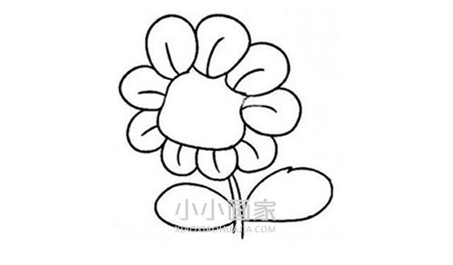 彩色卡通向日葵简笔画画法图片步骤步骤4