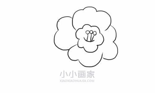 黑白山茶花简笔画画法图片步骤步骤5