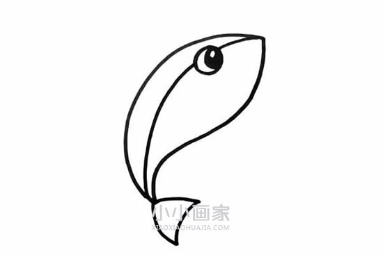 可怕鲨鱼简笔画画法图片步骤步骤3