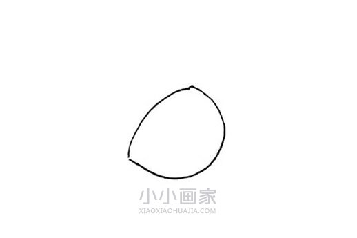 彩色橡果简笔画画法图片步骤步骤2