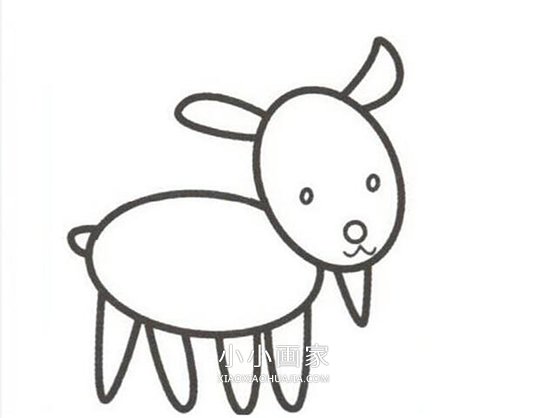 小山羊简笔画画法图片步骤步骤4