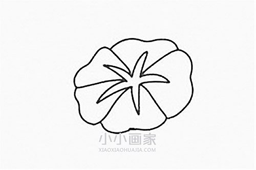 彩色牵牛花简笔画画法图片步骤步骤3