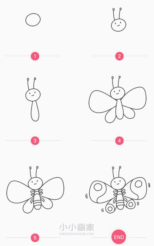 彩色的卡通蝴蝶简笔画画法图片步骤步骤2
