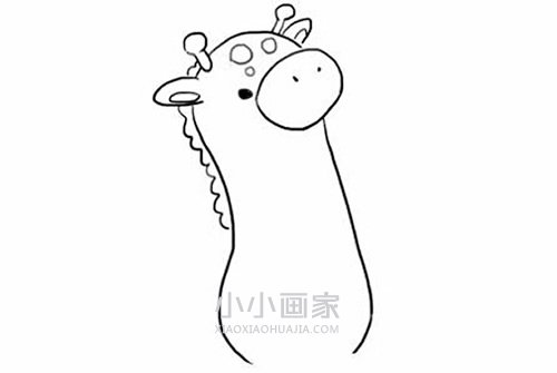 搞笑胖长颈鹿简笔画画法图片步骤步骤3