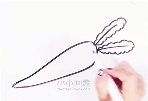 两根胡萝卜简笔画画法图片步骤步骤3