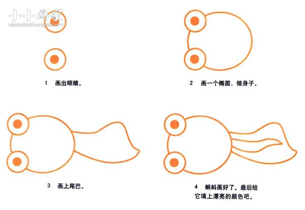 绘本故事小蝌蚪简笔画画法图片步骤