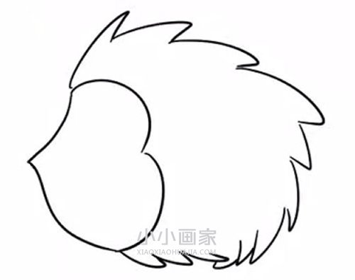 彩色小刺猬简笔画画法图片步骤步骤4