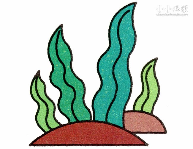 彩色水草简笔画画法图片步骤步骤1
