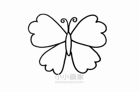 彩色花蝴蝶简笔画画法图片步骤步骤3