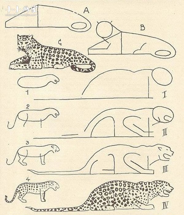 绘本故事趴伏在地上的猎豹简笔画画法图片步骤