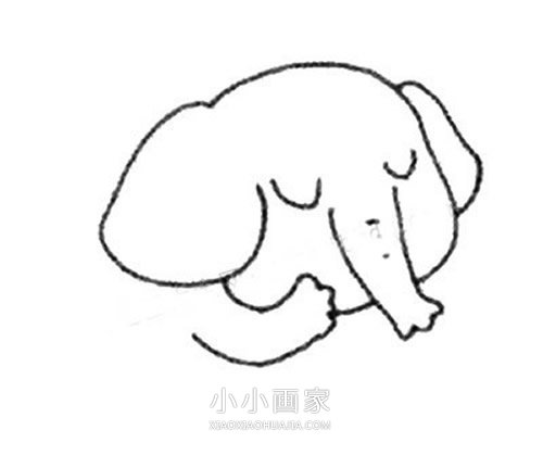 害羞的卡通小象简笔画画法图片步骤步骤4