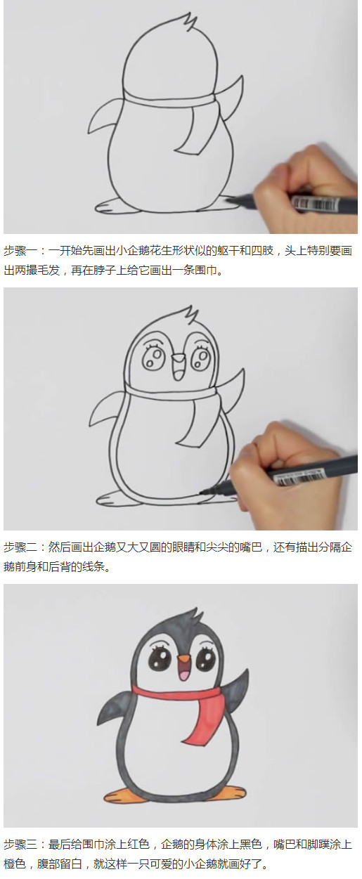卡通小企鹅怎么画涂色简单又可爱步骤1