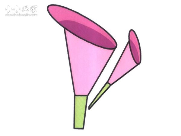 马蹄莲花简笔画画法图片步骤步骤1