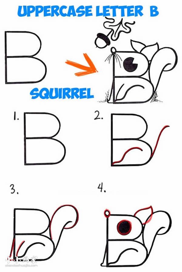 绘本故事字母B简笔画小松鼠的画法图片步骤