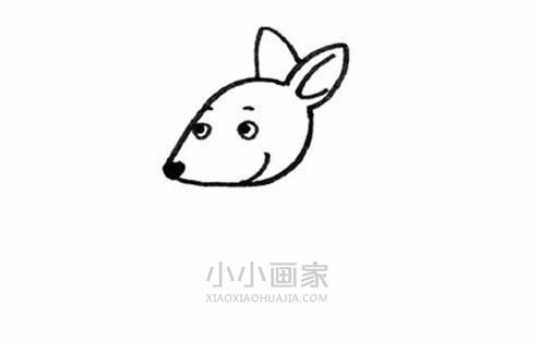 袋鼠妈妈和小袋鼠简笔画画法图片步骤步骤2