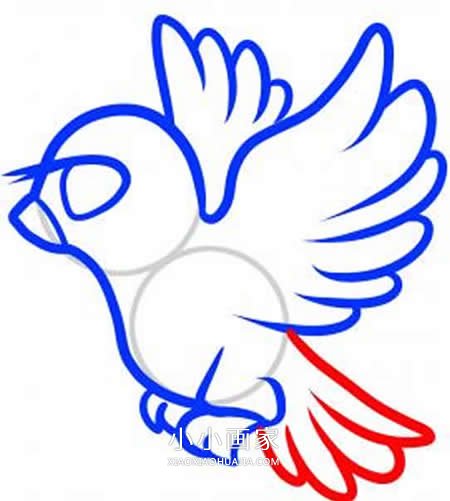飞翔的和平鸽简笔画画法图片步骤步骤6
