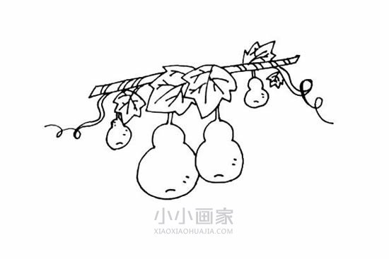 可爱葫芦简笔画画法图片步骤步骤9