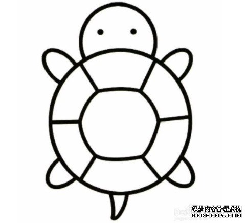 卡通小乌龟涂颜色带步骤图