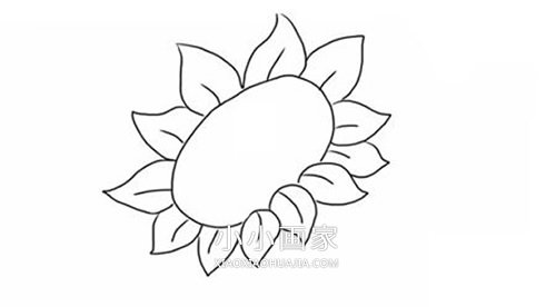 彩色向日葵简笔画画法图片步骤步骤3