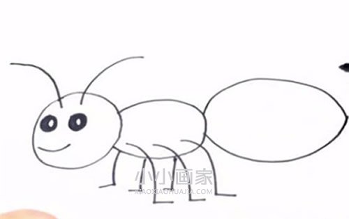 简单的蚂蚁简笔画画法图片步骤步骤6