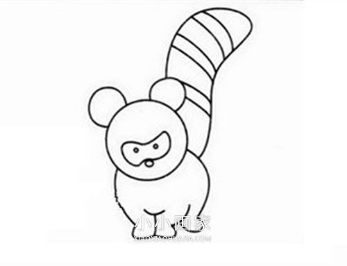 绘本故事可爱小浣熊简笔画画法图片步骤